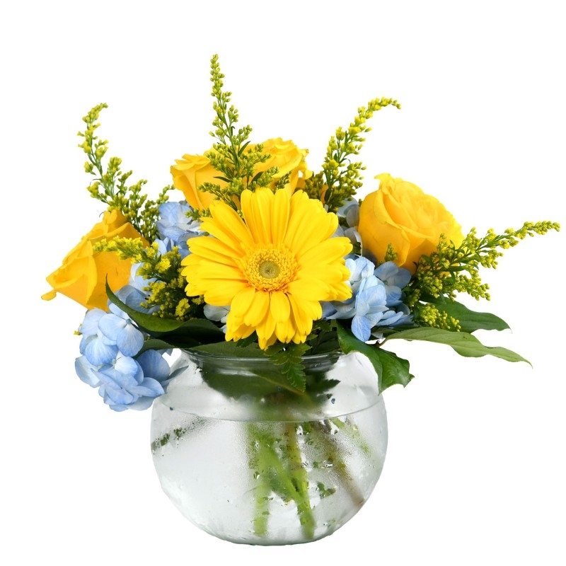 Daisy Bowl  - Item # 44900 - Dave's Gift Baskets